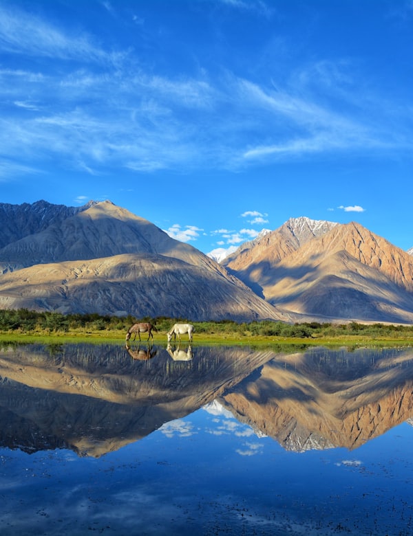 Nubra Valley, Kashmir