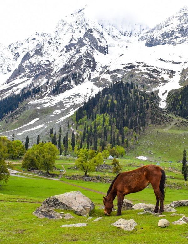The Lidder valley at Pahalgam