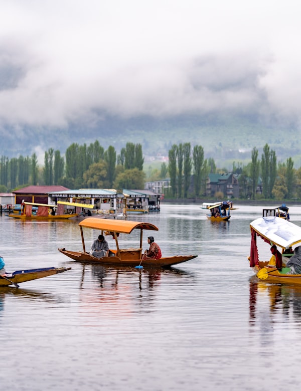 Dal Lake, Srinagar