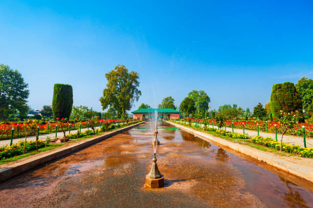 Mughal Garden Guided Tour photo 1