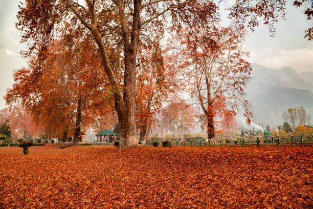 Mughal Garden Guided Tour photo 2