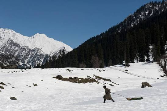 Thajiwas Glacier Sledging