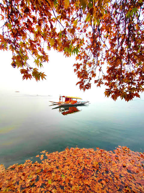 KASHMIR IN AUTUMN