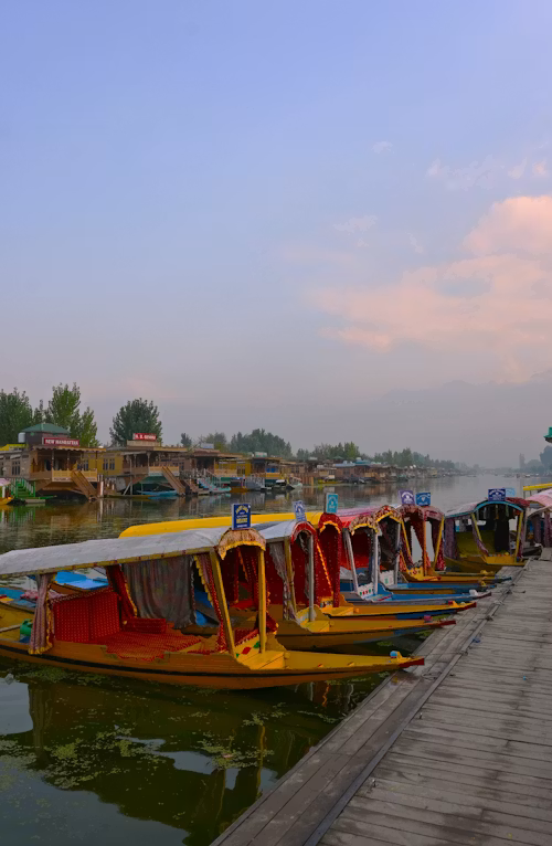 Srinagar, Kashmir