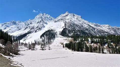 5 night 6 days  sonamarg special photo 5