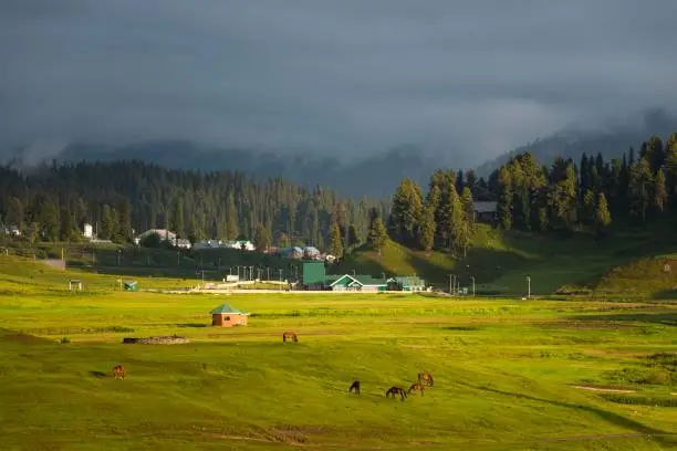 3 Nights / 4 Days Kashmir Tour Package