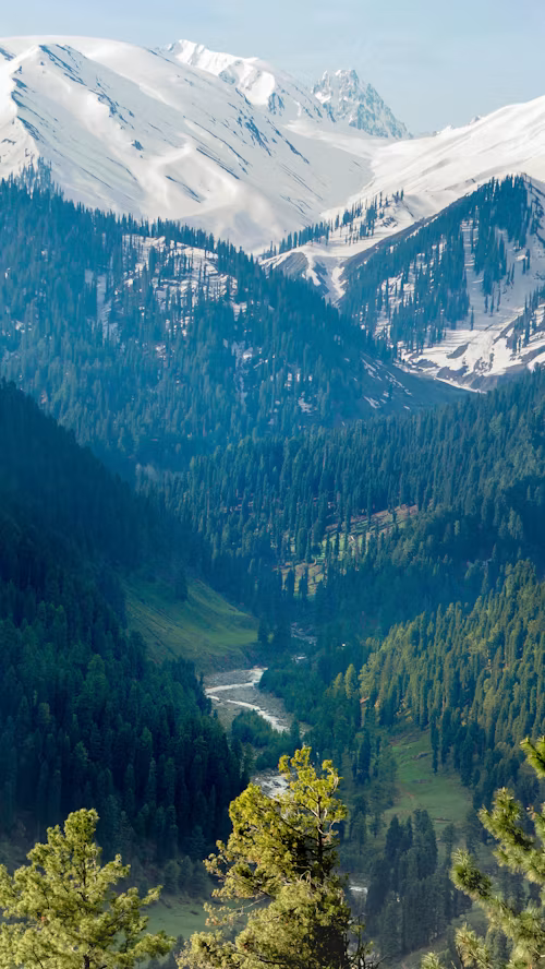 6 Nights / 7 Days Kashmir Honeymoon Package
