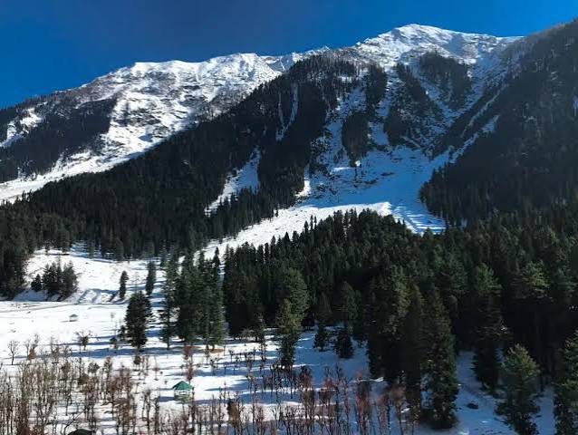5 Nights / 6 Days Kashmir Honeymoon Package